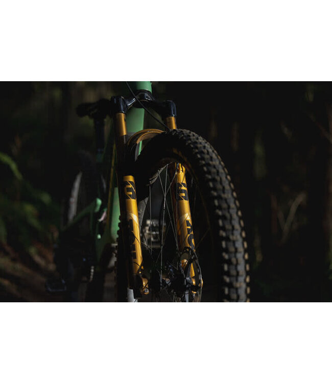 Fox, 38 Factory , 29" F-S, K, 170mm, Grip X2, HSC, LSC, HSR, LSR, Kabolt X 110, 1.5 T, 58HT, Rake:44mm, Gold