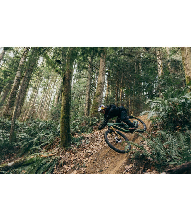 Fox, 38 Factory , 29" F-S, K, 170mm, Grip X2, HSC, LSC, HSR, LSR, Kabolt X 110, 1.5 T, 58HT, Rake:44mm, Gold