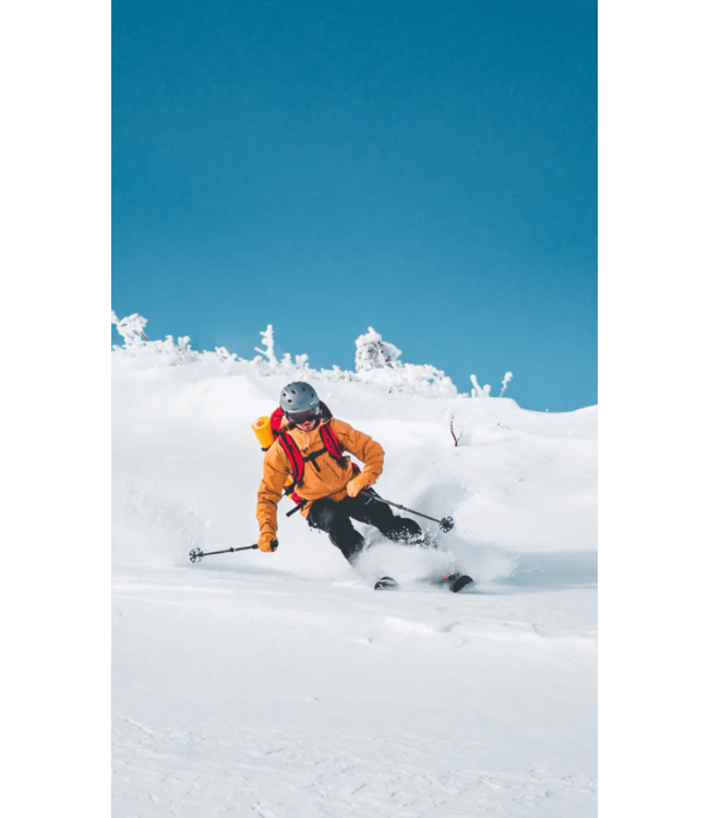 Ferreol, Pionnier 104