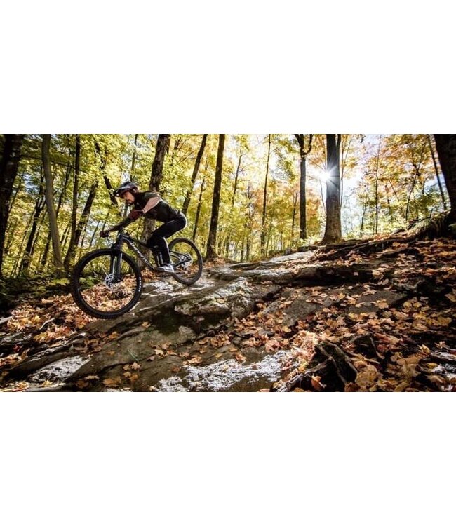 Devinci, Marshall A29 Deore 2024