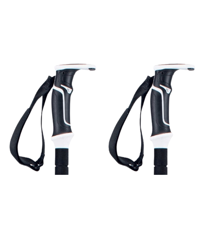 BCA, Scepter Poles, Black