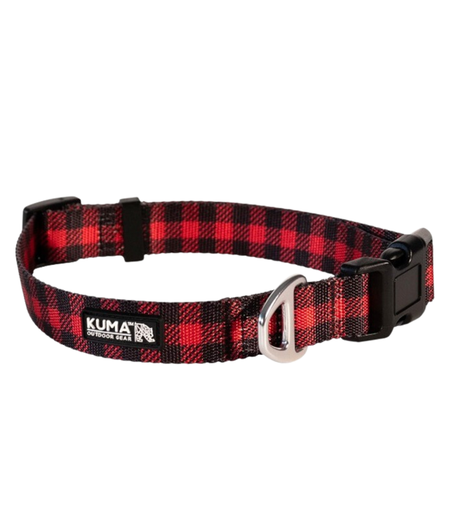 KUMA, Lazy Bear Dog Collar