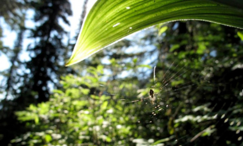 Environmental & Social Sustainability