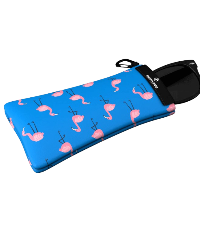 Gogglesoc, SunnySocs