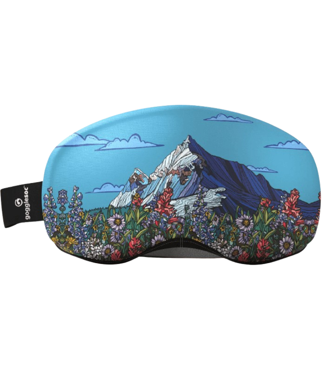 Gogglesoc, Pro Soc Kate Zessel Artist Series