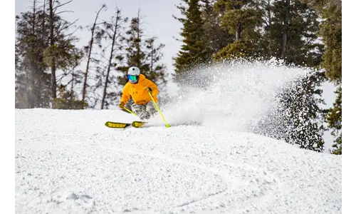 Alpine  Skiing