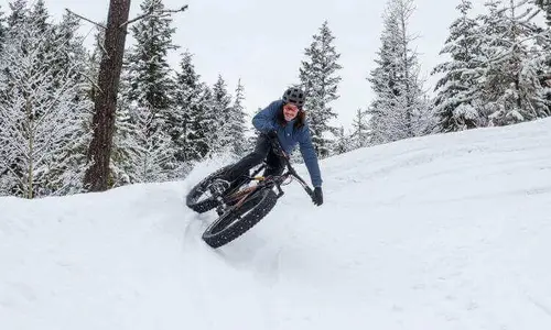 Fatbike