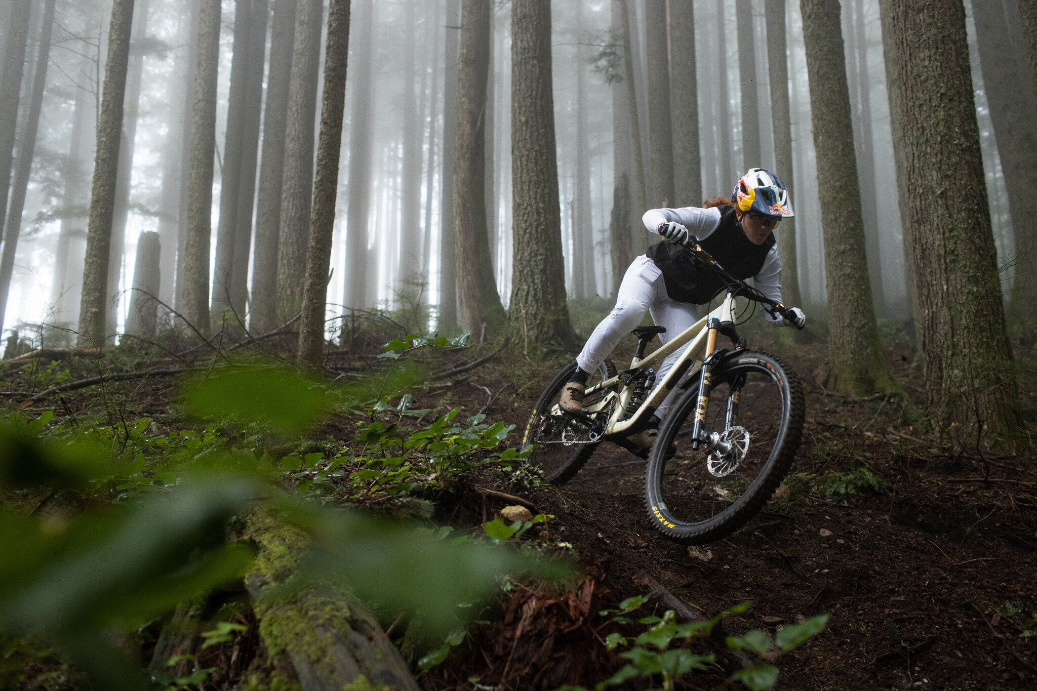 Unmatched Performance - The NEW Fox 36 & 36SL