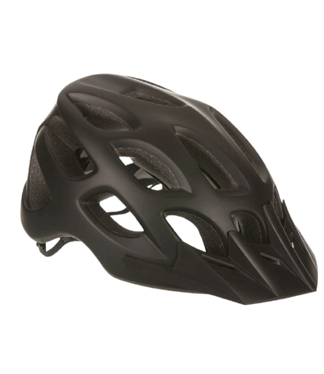 EVO, Flipshot, Helmet