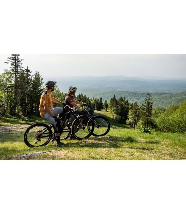 Devinci, E-Troy Bosch CX Kiox GX