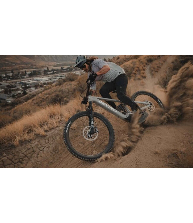 Devinci, E-Troy Lite Bosch SX Smart MX GX AXS