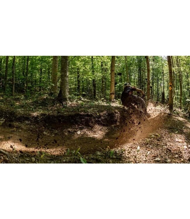 Devinci, E-Troy Bosch CX Smart GX