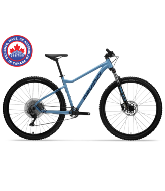 Devinci Devinci, Riff Deore 10s