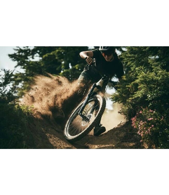 Devinci, Troy ST GX AXS