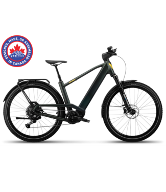 Devinci Devinci, E-Cartier EP8 10s LTD