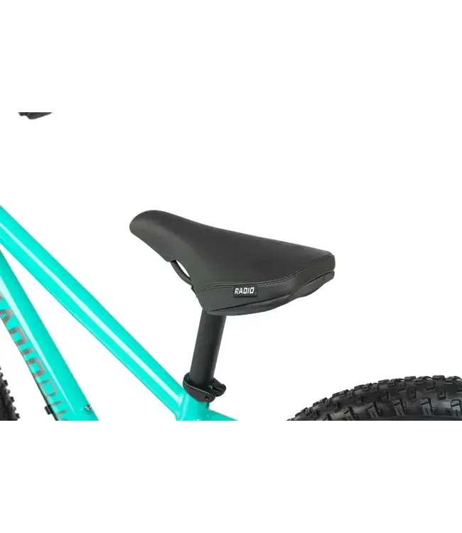 Radio, Zuma 24" Bike Teal Blue