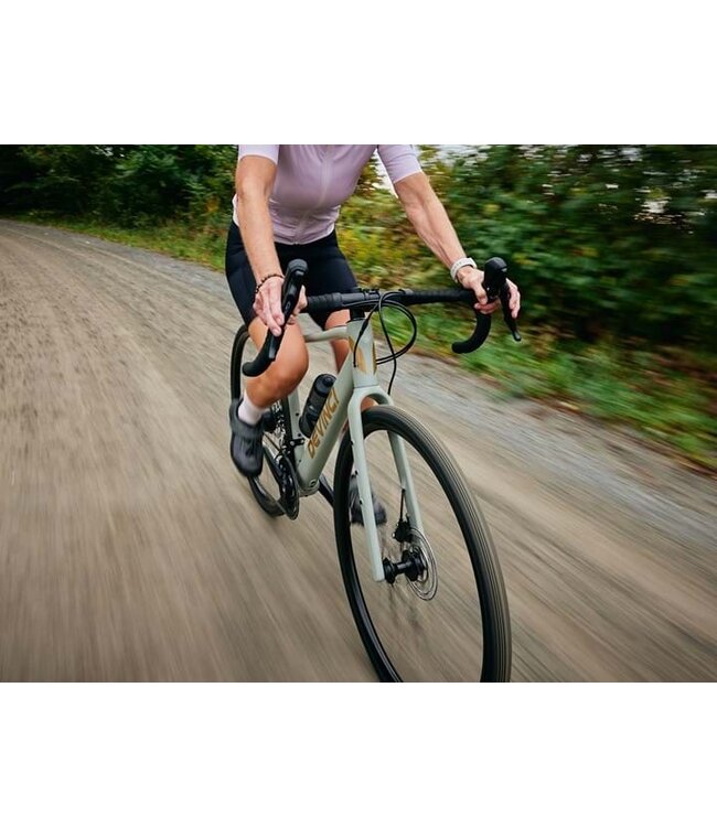 Devinci, E-Hatchet Tour Mahle X30