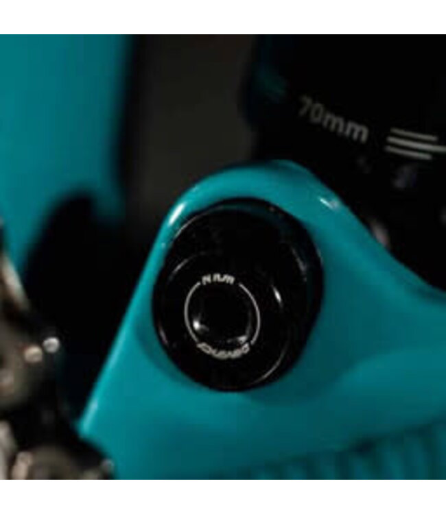 Devinci, Chainsaw A29 GX 12s