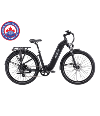 Winter Bike Commuting Flowt Bikes Revelstoke MAUI Bikes, Bronte