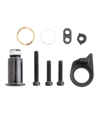 SRAM SRAM, GX Eagle 52T B-Bolt/Limit Screw Kit, Kit