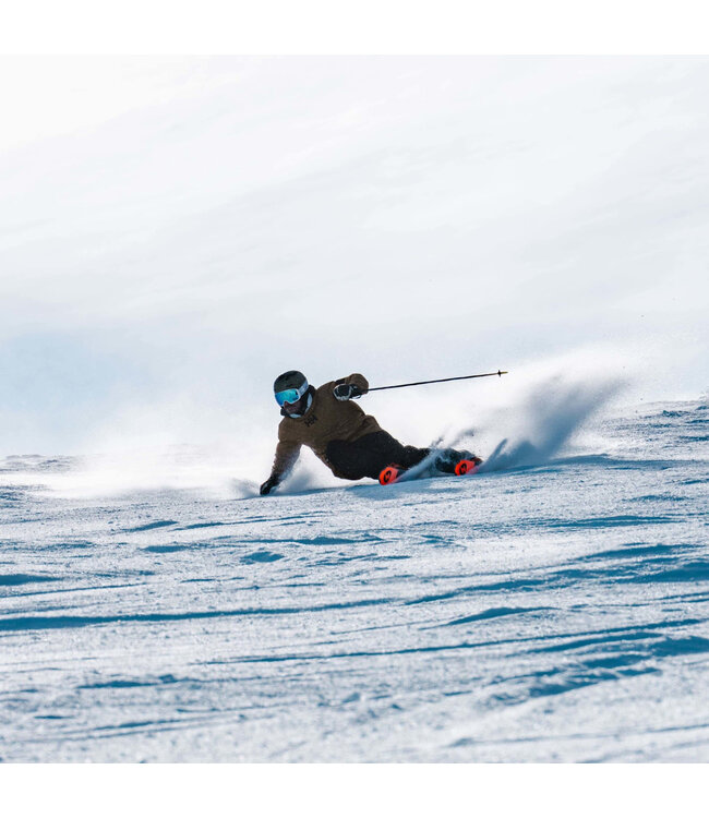 Blizzard, Anomaly 88 2026