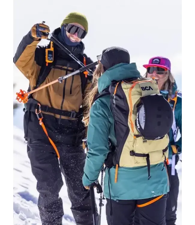 BCA, Scepter  Adjustable Aluminum Poles Black/Orange