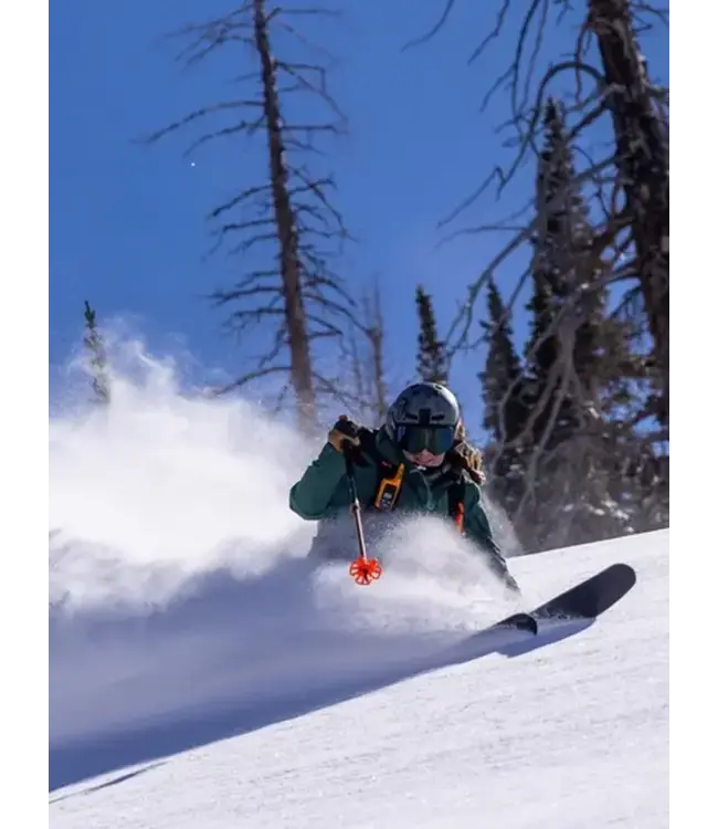 BCA, Scepter  Adjustable Aluminum Poles Black/Orange