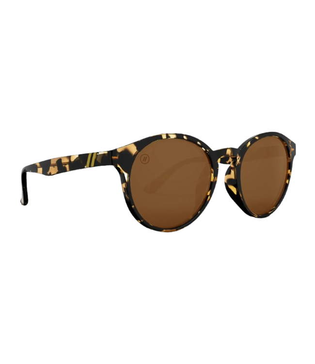 Blenders, Coastal X2