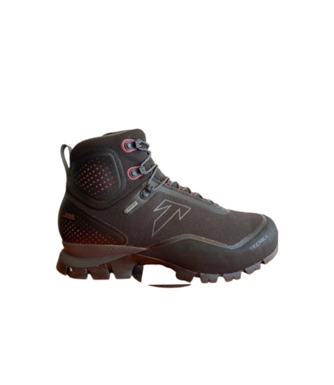 Tecnica, Ws Forge S GTX