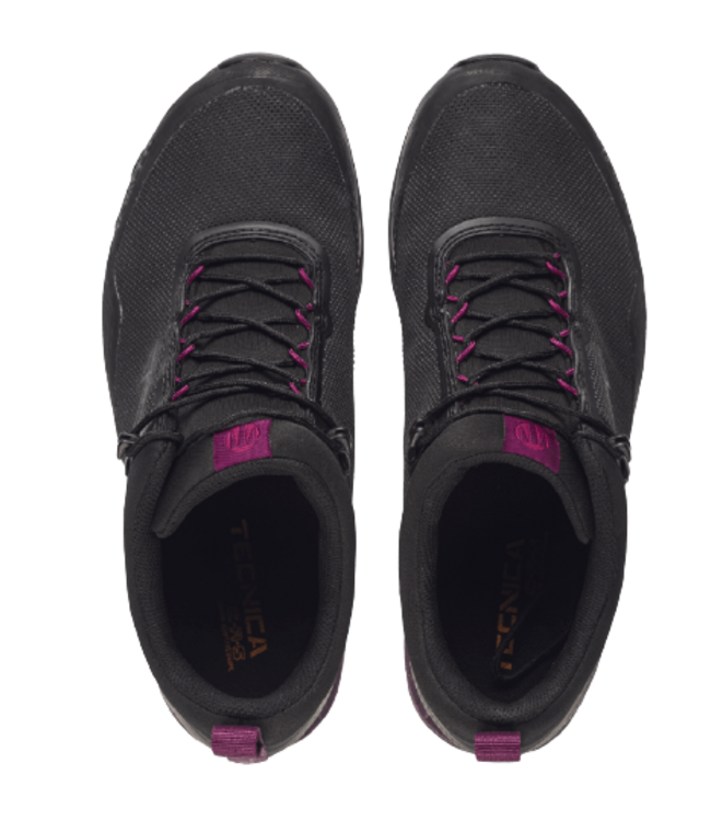 Tecnica, Ws Plasma S