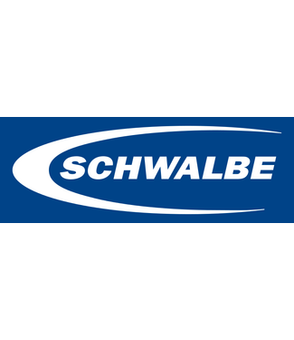 Schwalbe Schwalbe, Racing Ray 29 x 2.25