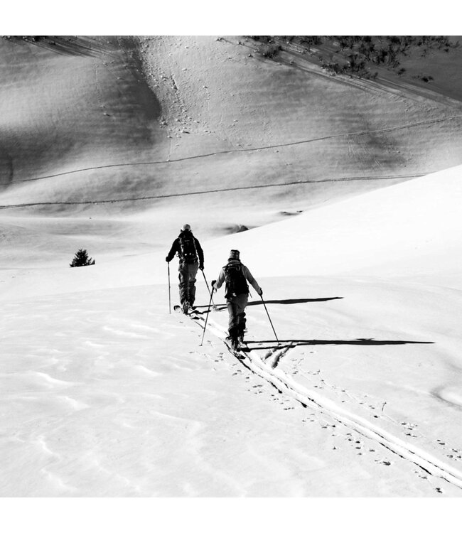 Tecnica, Zero G Tour Pro Ws