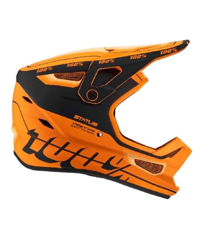 100%, Status DH/BMX Helmet, Youth