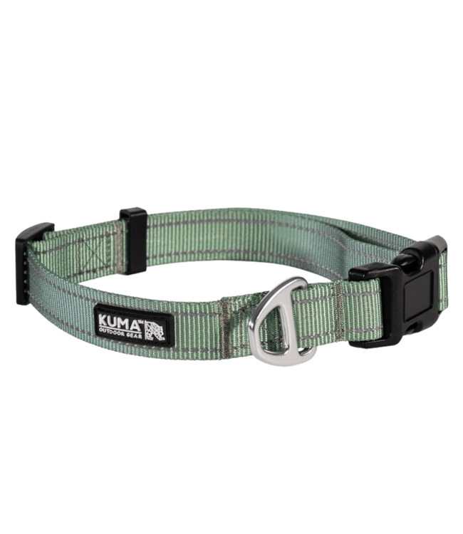 KUMA, Lazy Bear Dog Collar