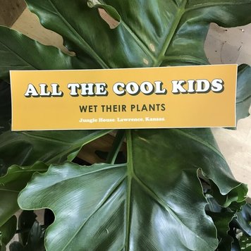 YELLOW All Cool Kids Wet Their Plants Sticker