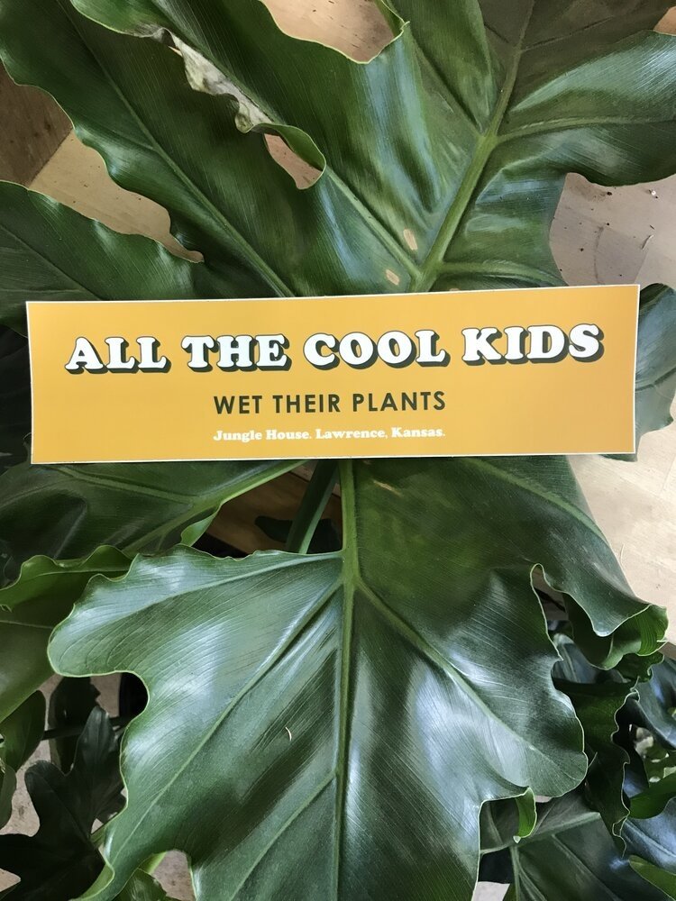 YELLOW All Cool Kids Wet Their Plants Sticker