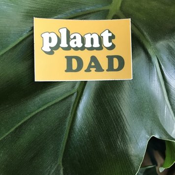 YELLOW Plant Dad Sticker