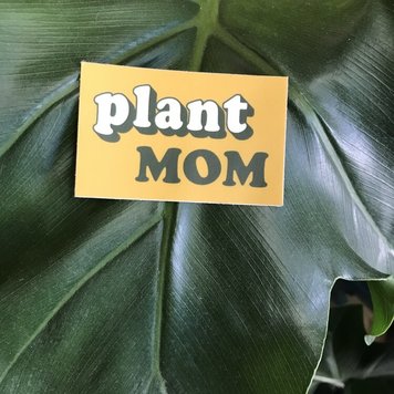 YELLOW Plant Mom Sticker
