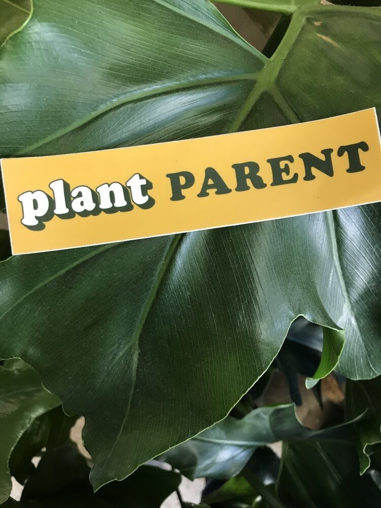 YELLOW Plant Parent Sticker