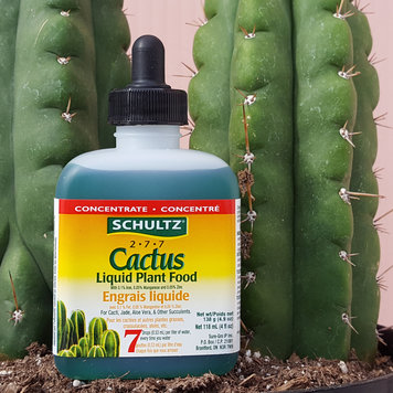 YELLOW Cactus Liquid Plant Food