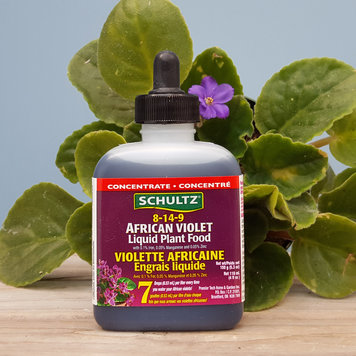 YELLOW African Violet Liquid Plant Food