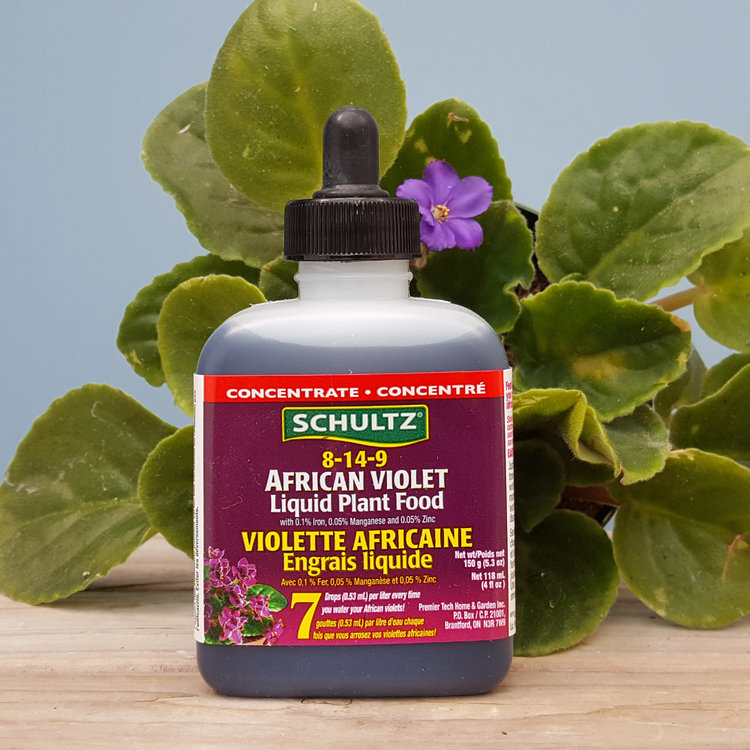 YELLOW African Violet Liquid Plant Food
