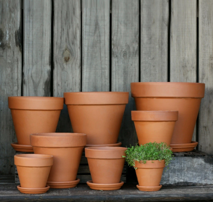 YELLOW Standard Terracotta Pots & Saucers