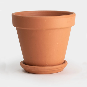 YELLOW Standard Terracotta Pots & Saucers