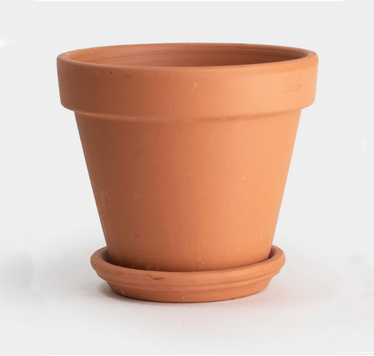 YELLOW Standard Terracotta Pots & Saucers