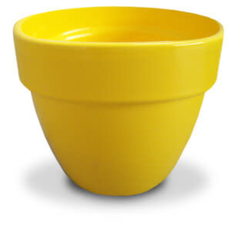 YELLOW Levante Pot, 2"
