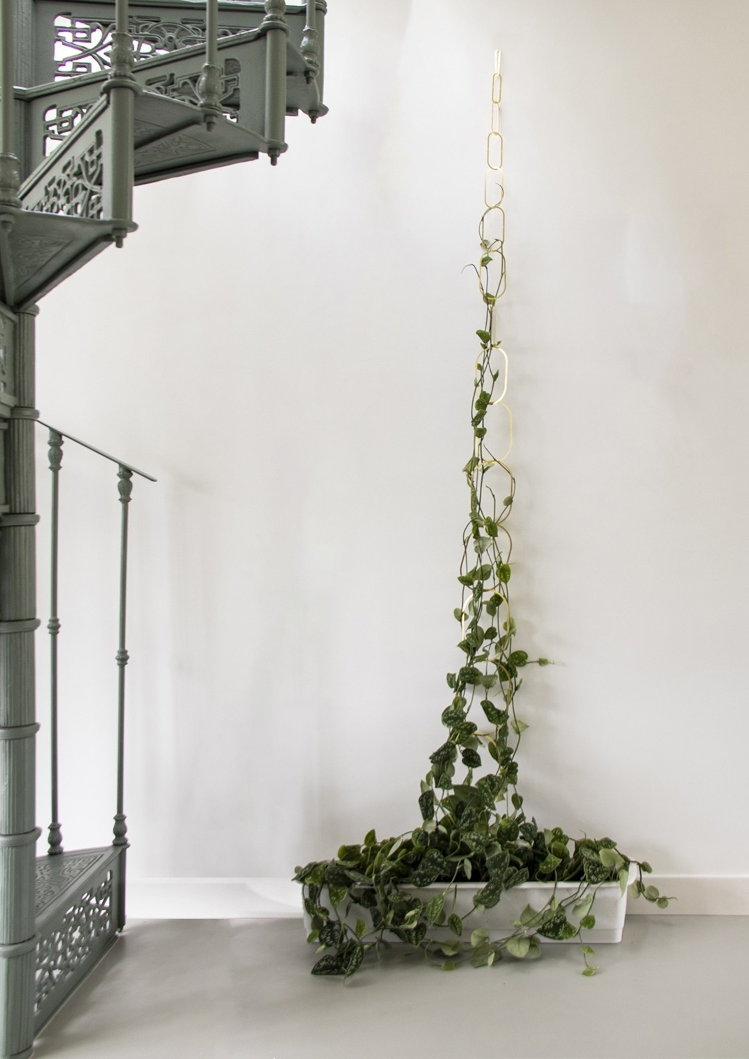 Brass Chain Plant Climbing Support - Jungle House