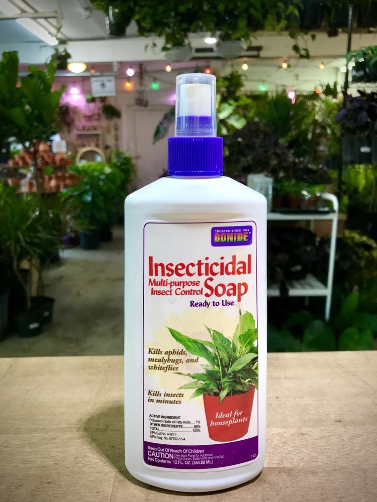 YELLOW Insecticidal Soap