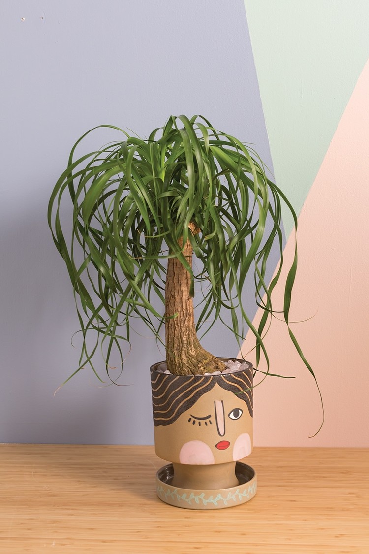 YELLOW Winking Face Pot