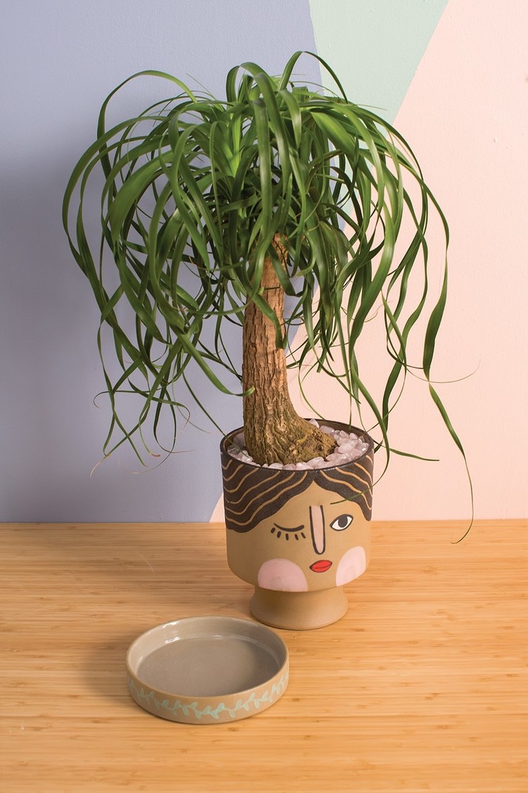 YELLOW Winking Face Pot